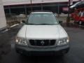 Silverthorn Metallic - Forester 2.5 L Photo No. 10