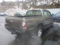 2009 Pyrite Brown Mica Toyota Tacoma V6 Double Cab 4x4  photo #4