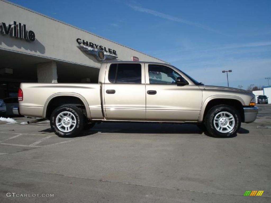 Light Almond Pearl Metallic 2004 Dodge Dakota SLT Quad Cab Exterior Photo #42244381