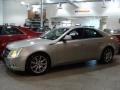 Light Platinum - CTS Sedan Photo No. 5