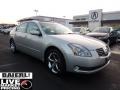 Liquid Silver Metallic - Maxima 3.5 SE Photo No. 1