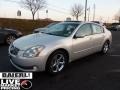 Liquid Silver Metallic - Maxima 3.5 SE Photo No. 3