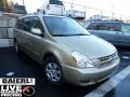 2010 Cashmere Beige Kia Sedona LX  photo #1