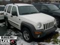 2004 Stone White Jeep Liberty Sport 4x4  photo #1