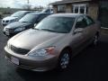 Desert Sand Mica - Camry LE Photo No. 1