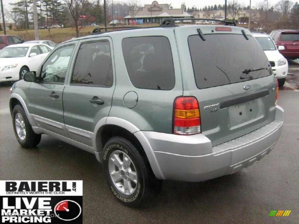 2007 Escape XLT V6 4WD - Titanium Green Metallic / Medium/Dark Flint photo #4