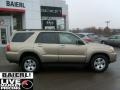 Driftwood Pearl - 4Runner SR5 4x4 Photo No. 7