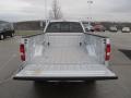 2007 Silver Metallic Ford F150 XL Regular Cab 4x4  photo #9