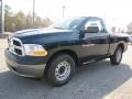 2011 Hunter Green Pearl Dodge Ram 1500 ST Regular Cab  photo #3