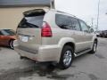 Savannah Beige Metallic - GX 470 Photo No. 6