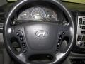 2007 Steel Gray Hyundai Santa Fe Limited  photo #9