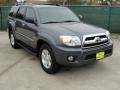 2009 Galactic Gray Mica Toyota 4Runner SR5  photo #1