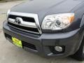 2009 Galactic Gray Mica Toyota 4Runner SR5  photo #12