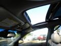 Light Platinum - SRX V6 Photo No. 4