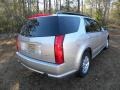 Light Platinum - SRX V6 Photo No. 14