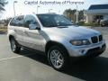 Titanium Silver Metallic - X5 3.0i Photo No. 1