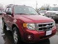 Redfire Metallic - Escape XLT 4WD Photo No. 25