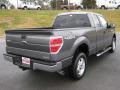 Sterling Grey Metallic 2011 Ford F150 XLT SuperCab 4x4 Exterior
