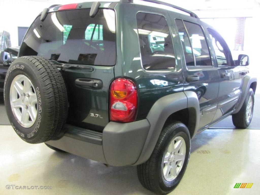 2002 Liberty Sport 4x4 - Shale Green Metallic / Taupe photo #2