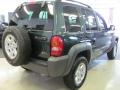 2002 Shale Green Metallic Jeep Liberty Sport 4x4  photo #2