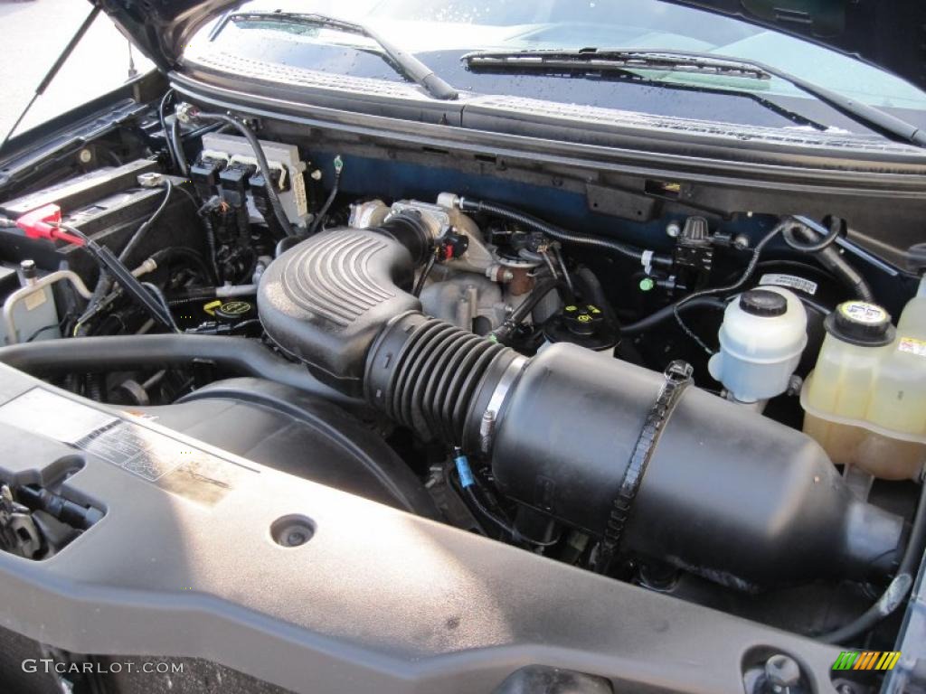 2005 Ford F150 XLT Regular Cab 4x4 4.6 Liter SOHC 16-Valve Triton V8 Engine Photo #42331956