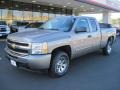 Graystone Metallic 2009 Chevrolet Silverado 1500 LS Extended Cab