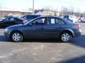 Willow Gray - Sonata GLS Photo No. 2
