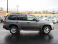 2009 Steel Gray Metallic GMC Envoy SLE  photo #6