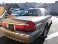 2001 Arizona Beige Metallic Mercury Grand Marquis LS  photo #5