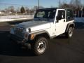 2003 Bright Silver Metallic Jeep Wrangler SE 4x4  photo #1