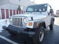 2003 Bright Silver Metallic Jeep Wrangler SE 4x4  photo #11