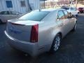 Gold Mist - CTS Sedan Photo No. 5
