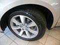 2010 Palladium Metallic Acura ZDX AWD Advance  photo #20