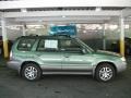 Evergreen Metallic - Forester 2.5 X L.L.Bean Edition Photo No. 4