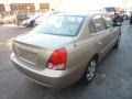 2006 Champagne Beige Hyundai Elantra GLS Sedan  photo #4
