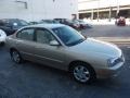 2006 Champagne Beige Hyundai Elantra GLS Sedan  photo #5