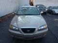 2006 Champagne Beige Hyundai Elantra GLS Sedan  photo #10