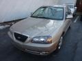2006 Champagne Beige Hyundai Elantra GLS Sedan  photo #11