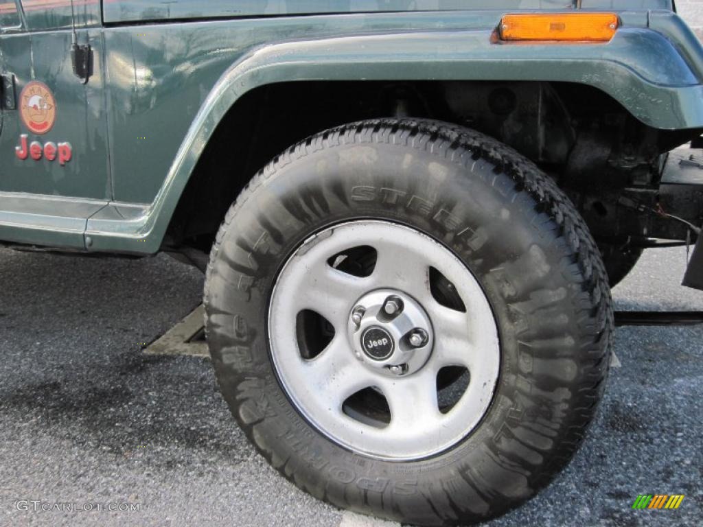 1993 Wrangler Sahara 4x4 - Hunter Green Metallic / Camel photo #4