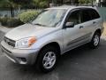 Titanium Metallic - RAV4  Photo No. 1
