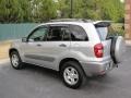 Titanium Metallic - RAV4  Photo No. 9