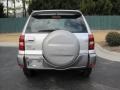 Titanium Metallic - RAV4  Photo No. 10