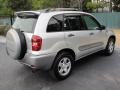 Titanium Metallic - RAV4  Photo No. 12