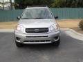 Titanium Metallic - RAV4  Photo No. 18
