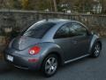 Platinum Grey - New Beetle 2.5 Coupe Photo No. 4