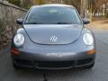 Platinum Grey - New Beetle 2.5 Coupe Photo No. 6