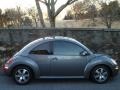 Platinum Grey - New Beetle 2.5 Coupe Photo No. 11