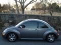Platinum Grey - New Beetle 2.5 Coupe Photo No. 12