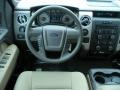 Tan Controls Photo for 2010 Ford F150 #42385735