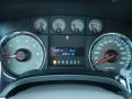 Tan Gauges Photo for 2010 Ford F150 #42385755